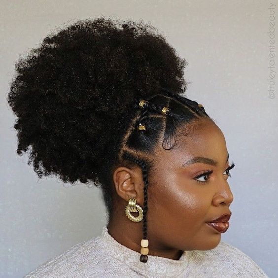 Ponytail Queue De Cheval Afro